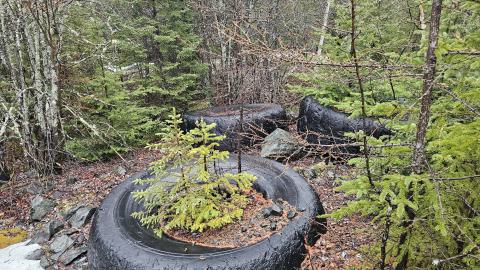 Harker Mine - 20240501_180357.jpg