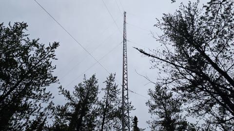 Harker Mine - 20240501_180550.jpg