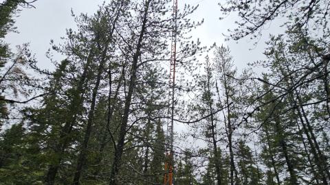 Harker Mine - 20240501_180603(0).jpg