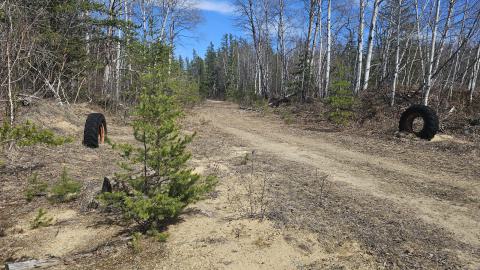 Tires mark the entrance to one of the turns