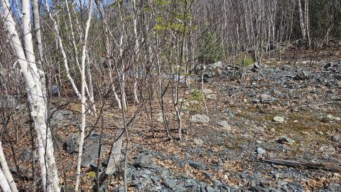 A rock mound in a rectangle