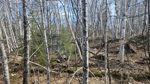 A mostly collapsed wooden shed