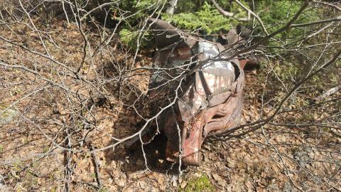 The grille from an angle