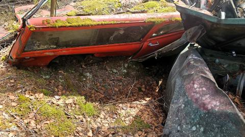 Headman Mine - 20240504_154744.jpg