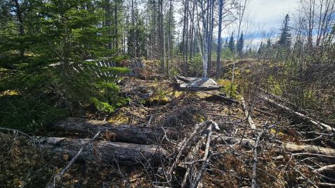 A collapsed wooden structure
