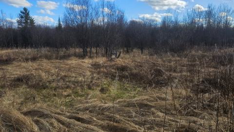 A wooden object in the field next to the pit