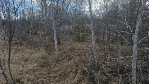An elevated mine rock road on the south end of the pit