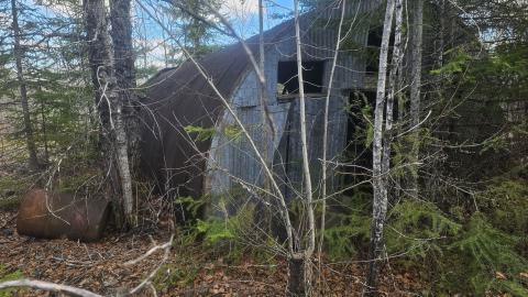 A beaver's paradise - 20240505_182901.jpg