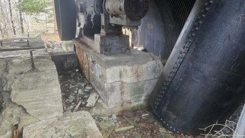 A beaver's paradise - 20240505_183059.jpg