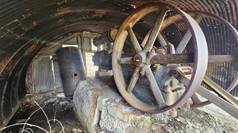 A beaver's paradise - 20240505_183153.jpg