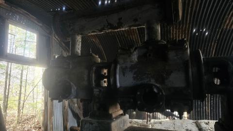 A beaver's paradise - 20240505_183205.jpg