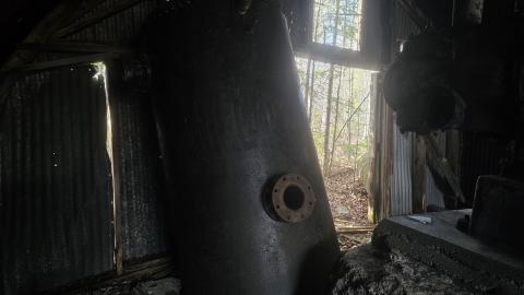 A beaver's paradise - 20240505_183216.jpg