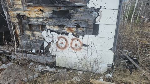 Photo from A beaver's paradise