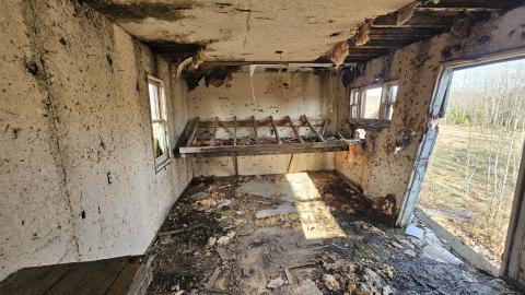 Photo from A beaver's paradise