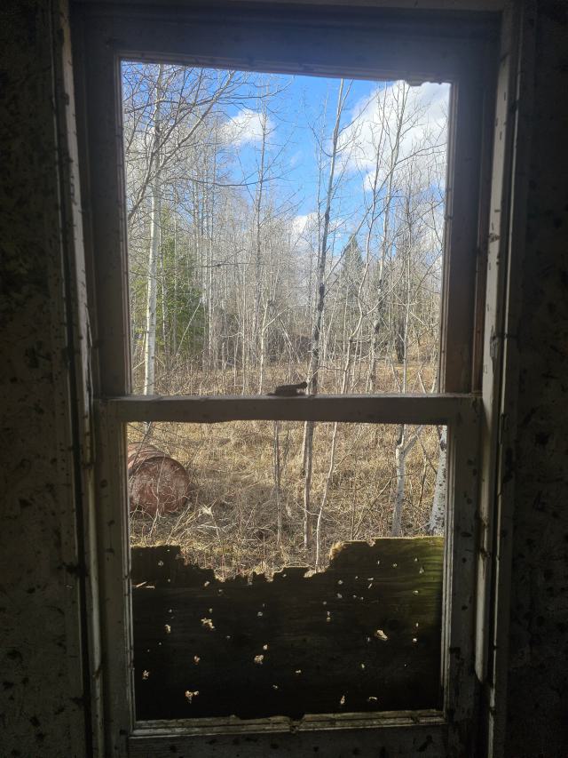 Argyll Mine, a Beaver's Paradise photo 4