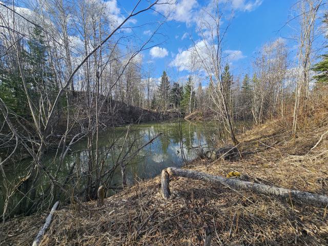 Argyll Mine, a Beaver's Paradise photo 5