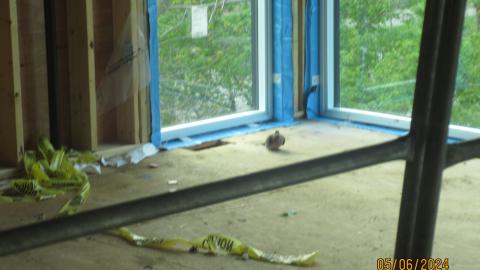 May 2024 + House Nxt Door - IMG_0885.JPG