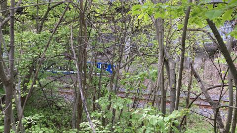 In The Don - IMG_2068.jpeg