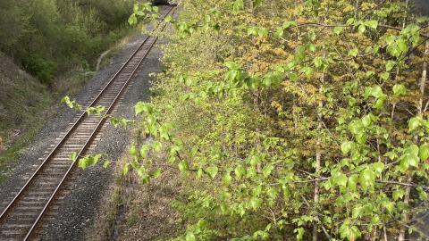 In The Don - IMG_2070.jpeg