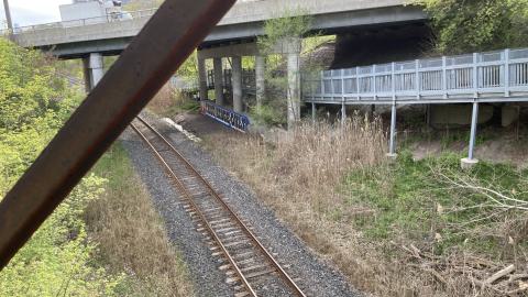 In The Don - IMG_2071.jpeg