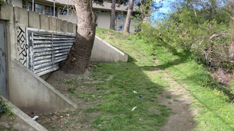 In The Don - IMG_2075.jpeg