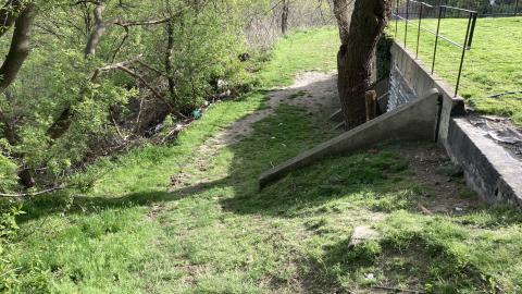 In The Don - IMG_2078.jpeg