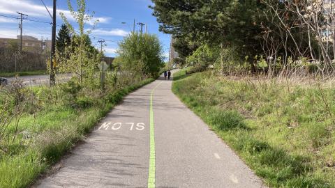 In The Don - IMG_2080.jpeg