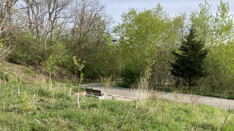 In The Don - IMG_2083.jpeg