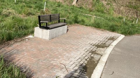 In The Don - IMG_2084.jpeg