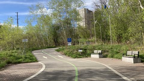 In The Don - IMG_2085.jpeg