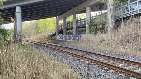 In The Don - IMG_2087.jpeg