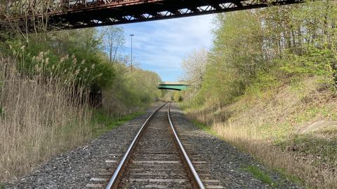 In The Don - IMG_2088.jpeg