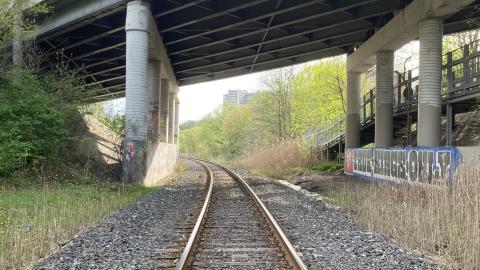 In The Don - IMG_2089.jpeg