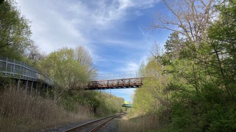 Photo from In The Don