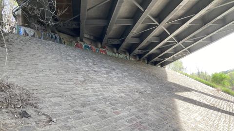 Photo from In The Don