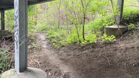 Photo from In The Don