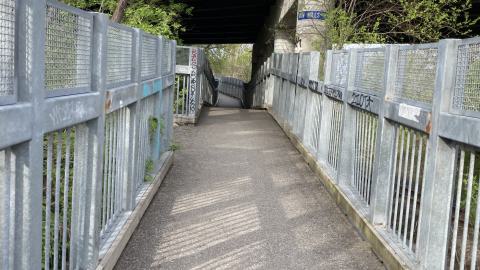 In The Don - IMG_2094.jpeg