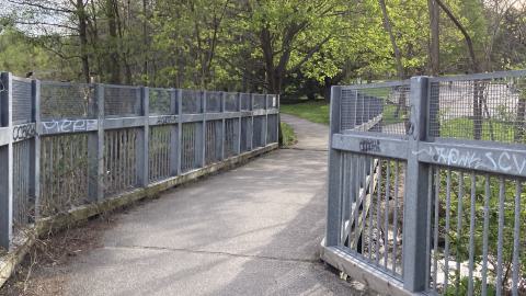 In The Don - IMG_2095.jpeg