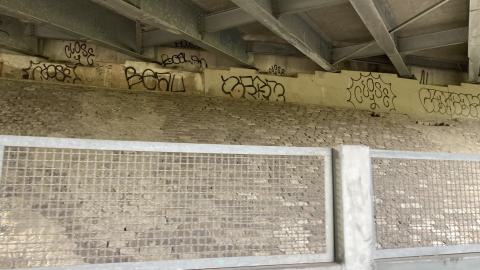 In The Don - IMG_2096.jpeg