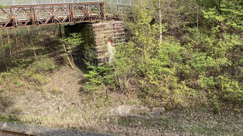 In The Don - IMG_2097.jpeg