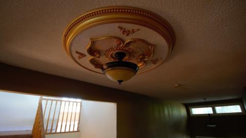 November 2018 / March 2019 - IMG_5429.jpeg