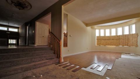 November 2018 / March 2019 - IMG_5431.jpeg