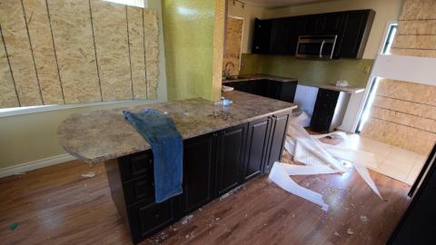 November 2018 / March 2019 - IMG_5434.jpeg