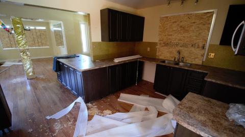 Photo from November 2018 / March 2019