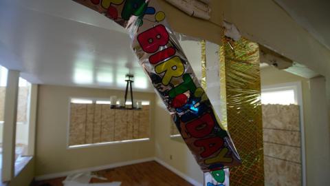 Photo from November 2018 / March 2019