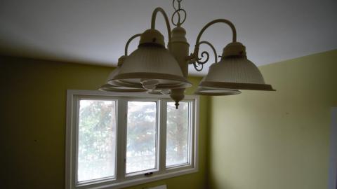 Photo from November 2018 / March 2019