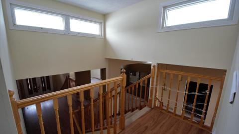 November 2018 / March 2019 - IMG_5444.jpeg