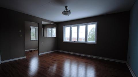 November 2018 / March 2019 - IMG_5446.jpeg