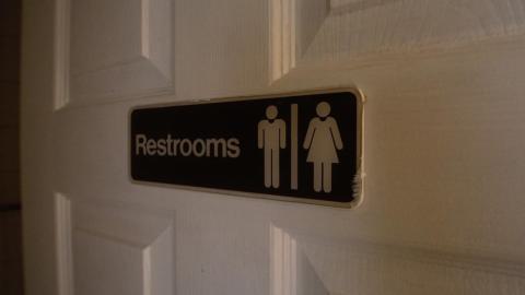 November 2018 / March 2019 - IMG_5448.jpeg