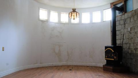 November 2018 / March 2019 - IMG_5449.jpeg